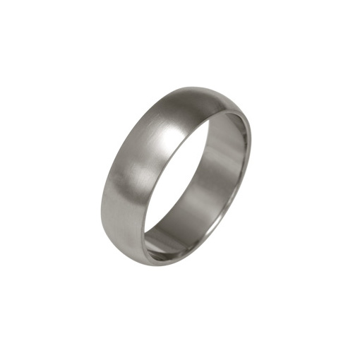 Ti2 Titanium 6mm Low Profile D Shape Ring in Titanium by Ti2
