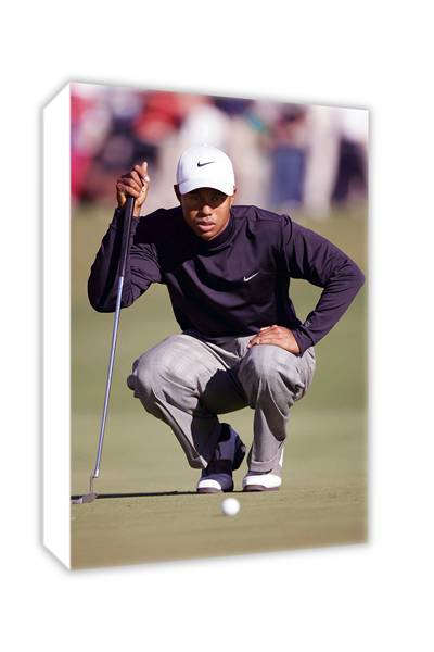 Tiger Woods looks over a putt on the greenand#8211; Canvas collection