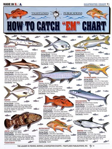 Tightlines - Fishermans Saltwater Fish Chart #1