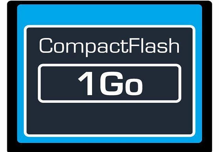 Compact Flash 1Gb card