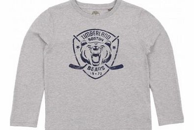 Bear T-shirt Heather grey `2 years,4 years,6