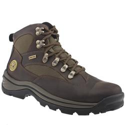 Male Chocorua Trail Leather Upper Casual Boots in Brown