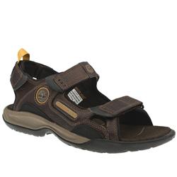 Male Jack Pine Trail Leather Upper Sandal in Dark Brown