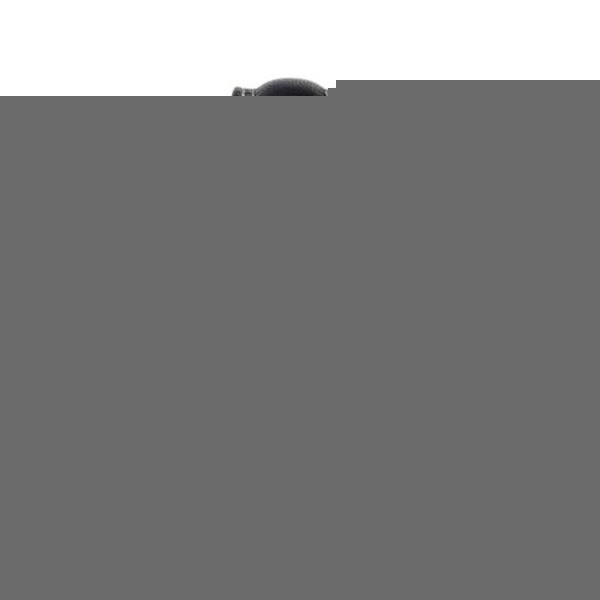 Timberland Portosera Watch QT512.13.01