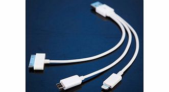 Three-in-one iPhone data cable