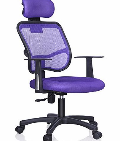 tinxs  Mesh Ergonomic Fully Adjustable Executive Office Chair with Lumbar Support