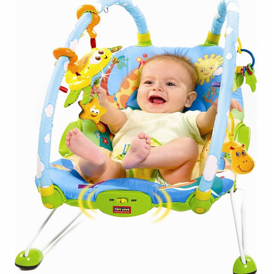 Tiny Love Gymini Bouncer 2014