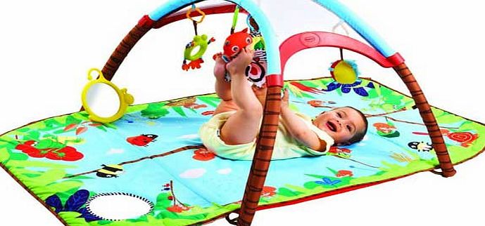 Tiny Love Gymini Developlace