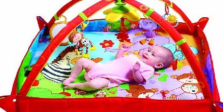 Gymini Move and Play Baby Playmat