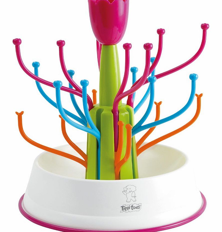 Tippitoes Drainage Rack 2013