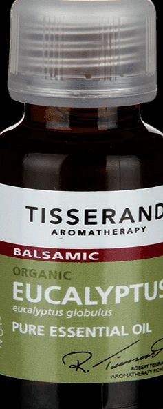 Tisserand Essential Oil Eucalyptus 20ml - 20ml