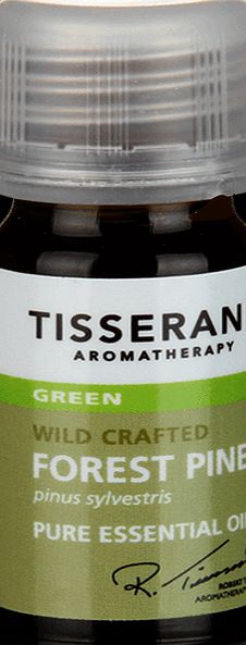 Tisserand Essential Oil Pine 9ml - 9ml 002852