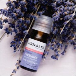 Tisserand OIL 9ML LAVENDER