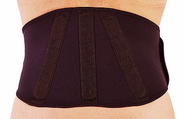 Titanium Back Support