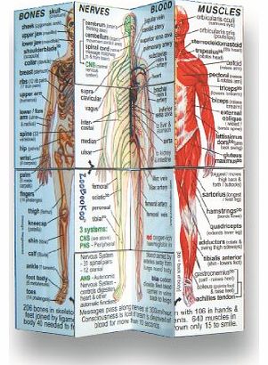 Tobar Human Body Cube: Systems and Statistics
