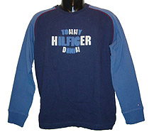 tommy Hilfiger - and#39;Tommy Hilfiger Denimand39; Applique Sweatshirt