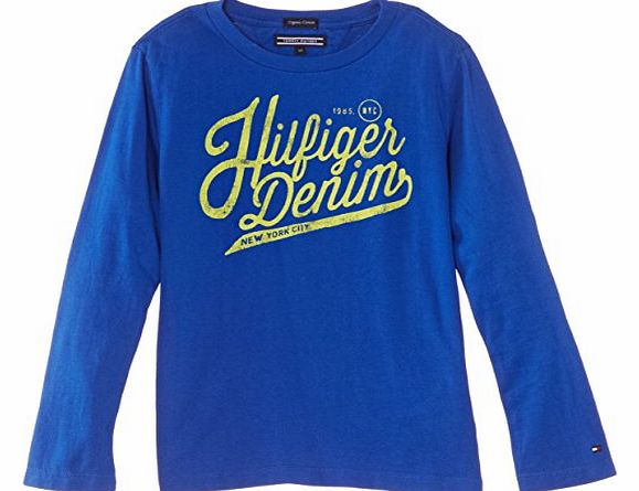 Tommy Hilfiger Boys Federer Cn Long Sleeve T-Shirt, Blue (Surf The Web/Peacoat), 14 Years