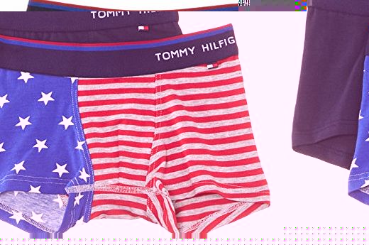 Tommy Hilfiger Boys Icon Trunk 2 Pack Boxer Shorts, Blue (Black Iris/Peacoat), 16 Years