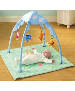 Tomy 100 Acre Play Gym