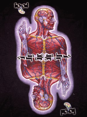 Tool Lateralus T Shirt