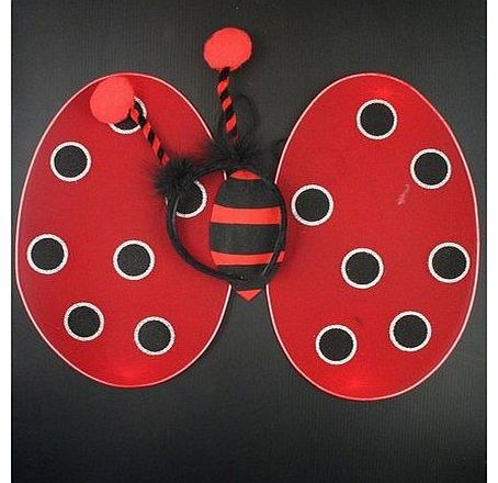 Ladybird wings and billy bopper set. Ideal fancy dress or a dressing up box.