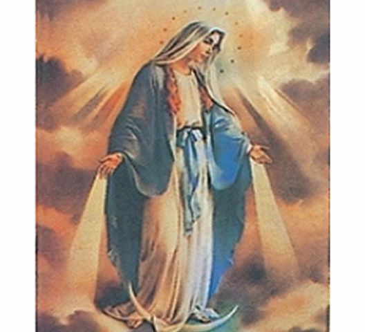 Top Brand Virgin Mary Shiny 2.4 x 3.4 flag