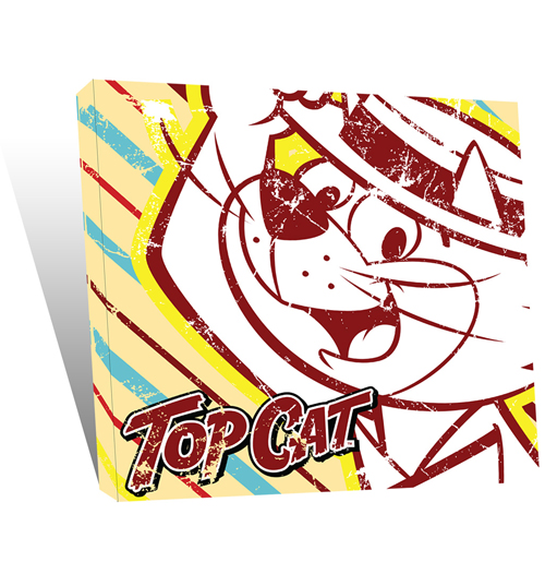 Cat 30x30 Canvas Art Print