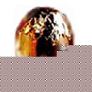 Torrente LOr de Torrente