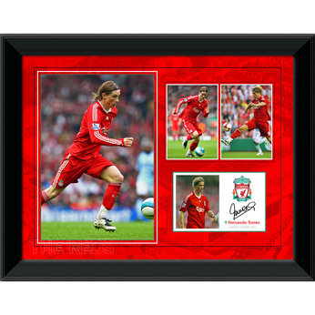 Torres Framed Player Profile (16x12`)