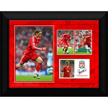 torres Framed Player Profile (8x6`)