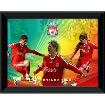 Player and Stadium Combo (16x12`)