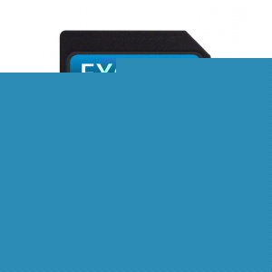 Toshiba 16GB Exceria Type 1 SD (SDHC) Card Class