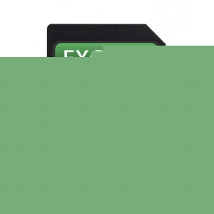 16GB Exceria Type 2 SD (SDHC) Card Class