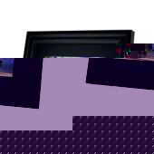 toshiba GigaFrame Q8 8` Digital Photo Frame