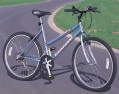 TOWNSEND romera ladies cycle with front suspension