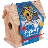 Toyday Paint A Bird House
