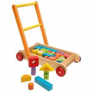 Baby Walker with Blocks