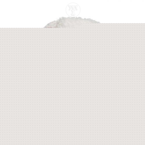 Bevin Bunny Soft Toy