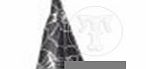 Black Witches Hat with Silver Cobwebs