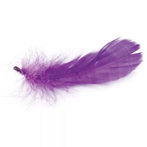 Feathers for Arts and Crafts