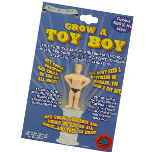 Grow a Toy Boy