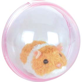 Hamster in a Ball