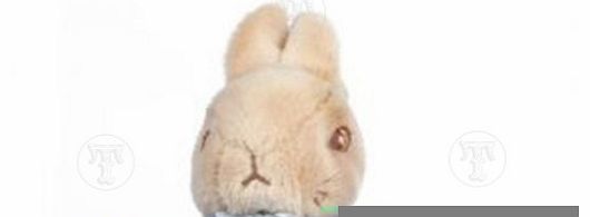 Peter Rabbit Baby Toy