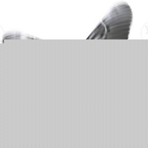 Rubber Band Flying Butterfly