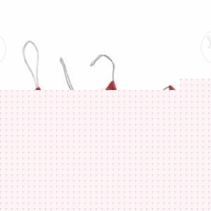 Set of 5 Christmas Ducky Decorations