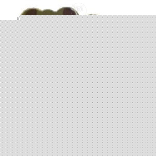 Wooden Animal Letter B