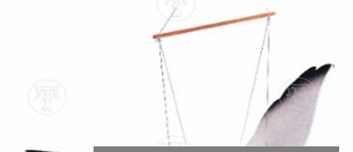 Wooden Flying Seagull