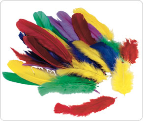 TP Mixed Feathers