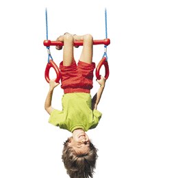 TP Trapeze Bar & Rings Green