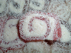 Traditional Old Fashioned Turkish Delight - Gourmet Selection